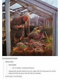 When People Ask If You Could Have Dinner With Any One Person Dead Or Alive Who Would It Be My Response Screw Dinner I W Tolkien Lotr Lord Of The Rings