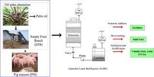 Check spelling or type a new query. Solid State Co Fermentation As Pretreatment Of Lignocellulosic Palm Empty Fruit Bunch For Organic Acid Recovery And Fiber Property Improvement Sciencedirect