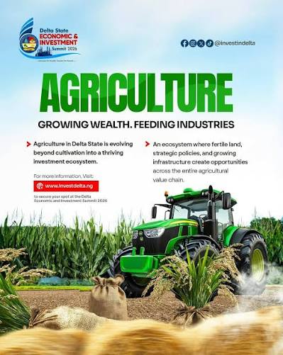 Delta State emerges as a leading agricultural investment destination in 2026