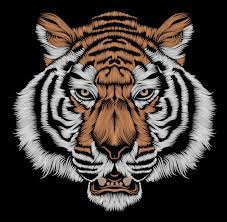 Le Tigre By Patrick Seymour Via Behance Patrick Seymour Digital Illustration Illustration Art