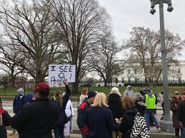 Image result for "q anon" supporters