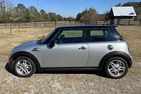 Image result for Pure Silver 2007 Mini