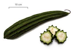 Image result for Luffa acutangula