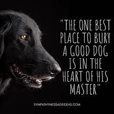 Then you cross rainbow bridge together, never again to be separated.. 57 Heartbreaking Loss Of Dog Quotes Images Comforting Ways To Remember Your Pal Sympathy Card Messages