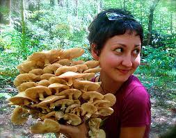 Jun 26, 2021 · cook, stirring, until tender, about five minutes, and add a pinch of salt and the mushrooms. A Magical Mycology Tapestry Appalachian Voices