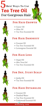 5 Best Ways To Use Tea Tree Oil For Hair Blissonly Hair Oil Tea Tree Oil Oil For Hair Loss