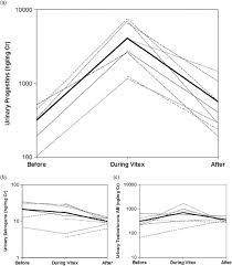 Image result for Vitex fischeri