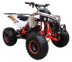 We did not find results for: Coolster 125cc Atv Fully Automatic Mid Size Racer Pro Quad Atv 3125b