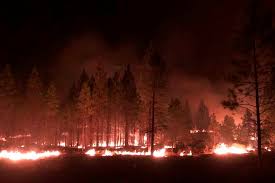 A raging northern california fire has . Bootleg Fire Evacuations Expand Tamarack Fire Near Lake Tahoe Forces Residents To Leave Oregonlive Com
