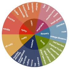 Pie Chart Of Flavor Notes Detectable In Chocolate Cacao