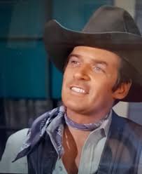 Introduction to The Big Valley fan group