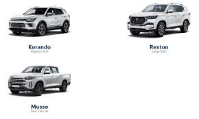 Image result for Autumn Brown 1994 SsangYong