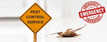Top pest control services in colorado springs, co. Pest Control Company Colorado Springs Denver Pueblo
