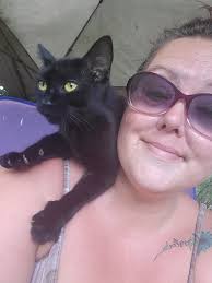 Small white and black cat