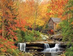 There are so many benefits of getting in touch with nature, and this extensive list of nature riddles will help you do just that. Nature 1000 Piece Puzzles For Sale Off 68