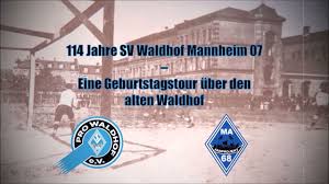 Die sportvereinigung 07 elversberg e. Pro Waldhof E V Mitbestimmen Mitbewegen Mitglied Werden