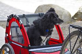 Shop for bicycle pet basket online at target. 6 Best Dog Bike Trailers For Towing Your Buddy On Your Bicycle
