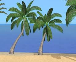 Sims 4 leaning palm tree. Mod The Sims Realistic Palm Cocos Nucifera Beach