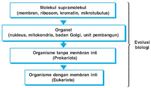 Eksperimen dalam buku tersebut berhasil mematahkan teori abiogenesis (kehidupan berasal dari materi mati) dan memunculkan teori biogenesis. Teori Teori Asal Usul Kehidupan Dan Pembuktiannya Pdf Free Download