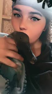 Introduction and photo of a pet goose