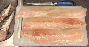 Northern Pike Fishing Part Three: From Hooked To Cooked | Meateater Fishing