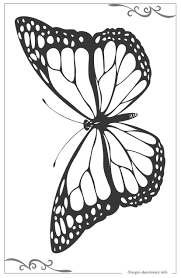 Una Raccolta Di Popolare Farfalle Disegno Da Colorare Disegni Da