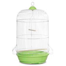 Bird Cage Seed Guard Petsmart Prevue Pet Products Classic Round Green Bird Cage 24 H X 13 D Bird Cage Hanging Bird Cage Cage
