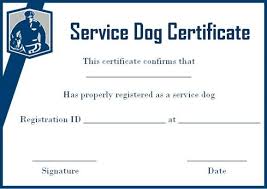 Service Dog Certificate Template Free Service Dogs Service Dog Registration Certificate Templates