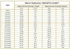 35 scientific growth chart 4 month old baby boy