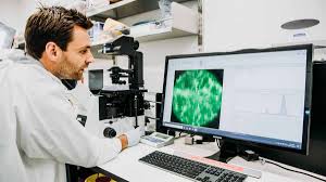 Fast paced, diverse role working with a fantastic team and organisation. New Sa Research Hopes To Unlock The Keys To Understanding And Treating Brain Cancer Glam Adelaide
