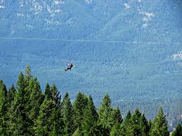We did not find results for: Mineral Mountain Ziplines Fairmont Hot Springs Resort