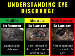 Image result for Eye Discharge