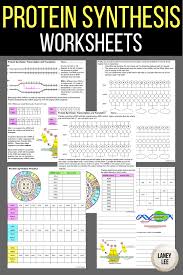 Protein Synthesis Worksheet With Answer Key Laney Lee In 2020 Science Teaching Resources Biology Worksheet Middle School Science Class