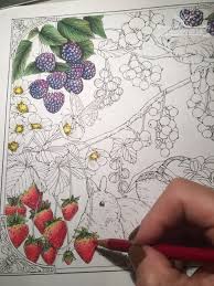 Chá com Livros de Colorir - VaniVanilla - Um lugar que busca inspirar e  motivar o ser leve