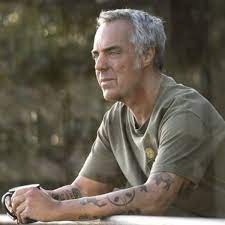 Harry bosch is an irreverent homicide detective in los angeles. Bosch Langlebigste Amazon Serie Endet Nach Siebter Staffel Prime Video Bestellt Abschliessende Staffel Seiner Ersten Eigenproduktion Tv Wunschliste