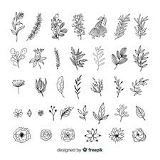 Maybe you would like to learn more about one of these? Flower Drawing Images Free Vectors Stock Photos Psd