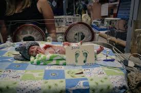 Labor To Love, Through A Lens