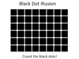 Image result for illusion pictures