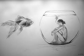 Pin On Drawings