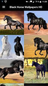 Descarga todas las fotos y utilízalas donde quieras, incluso en proyectos comerciales. Fondos De Pantalla Caballo Negro Hd For Android Apk Download