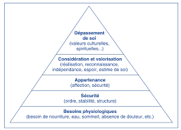 C'est pour cela que dans cette vidéo, vous allez découvrir comment rédiger une lettre de motivation simple et convaincante pour une formation en alternance ou. Memo Fiches Diplome D Etat D Accompagnant Educatif Et Social