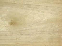 Poplar Wood Grain Reference Wood Hardwood Photography Products