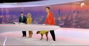 Știrile antena 1 le vezi la observator, unul din cele importante jurnale tv de știri din românia! SurprizÄƒ La Antena 1 Cine A Intrat Peste Prezentatori La Observator Matinal Dcnews
