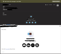 Email signature images not showing in sent emails : r/ProtonMail