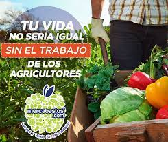 Pin En Agricultura