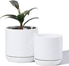 Modern cement planter w/ drainage hole. Potey Plant Pots With Drainage Holes Saucer Glazed Ceramic Modern Planters Indoor Bonsai Container For Plants Flower Aloe Set Of 2 5 1 4 2 Inch Shiny White Plants Not Included Amazon Co Uk Garden