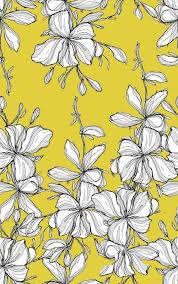 Picture Floral Wallpaper Yellow Wallpaper Flower Illustration