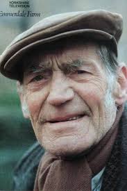 All Creatures Great and Small