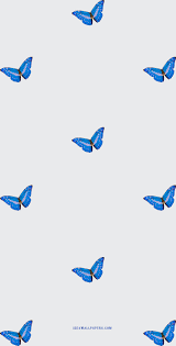 Maybe you would like to learn more about one of these? Iphone Wallpaper Pretty Blue Butterfly Idea Wallpapers Iphone Wallpapers Color Schemes