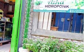 Toko trubus semarang pt trubus mitra swadaya alamat: 40 Toko Hidroponik Terlengkap Di Indonesia Online Offline